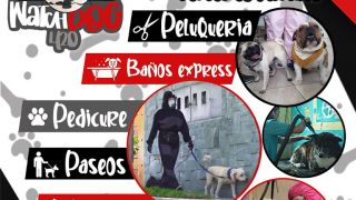 dog sitter quito Paseo de perros Quito - Watch Dogs