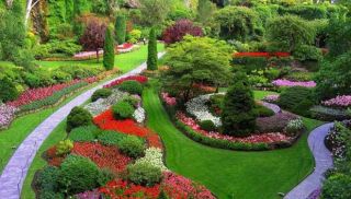 paisajistas quito La Jardinería | venta plantas online | jardines diseño mantenimiento | Cumbayá - Quito