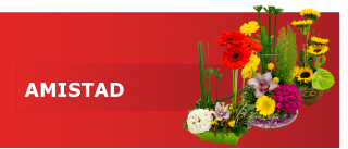 cursos florista online quito Florería Escarlata - Quito