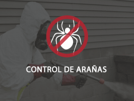 desinfeccion cucarachas quito Metroplag Control de Plagas y fumigación