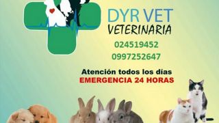 clinicas veterinarias 24 horas quito Veterinaria DyrVet