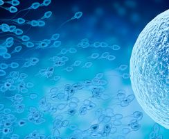 clinicas donacion ovulos quito Unidad de Reproducción Humana