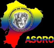 criaderos de perros en quito Asoro Ecuador